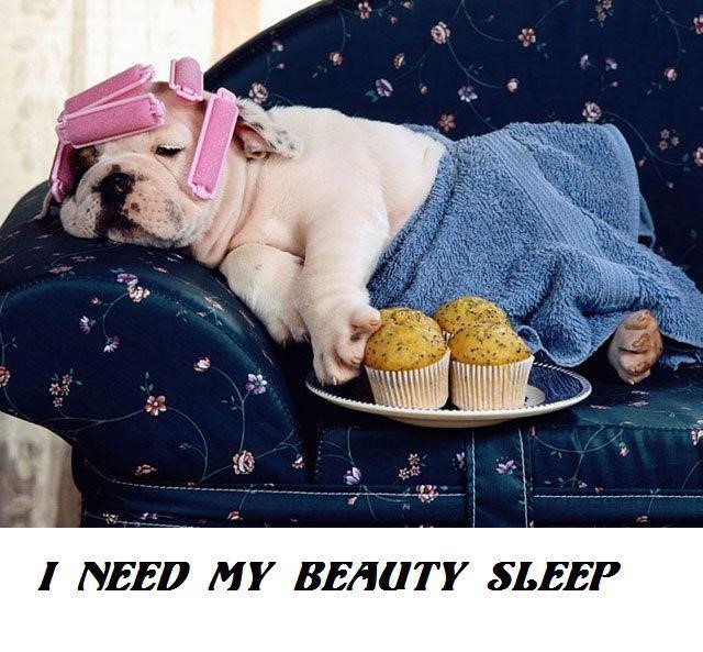 Beauty Sleep is of paramount importance