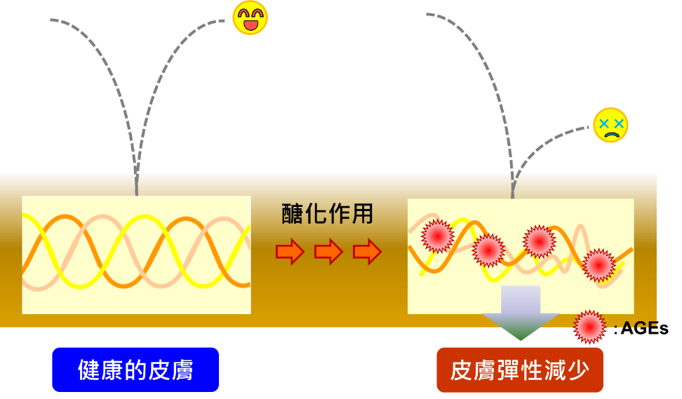 glycation destroys collagen in skin